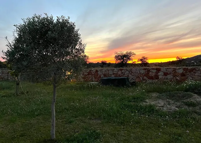 Charming With Pool Close To Faro Portugal Villa Laranjeira (Faro)