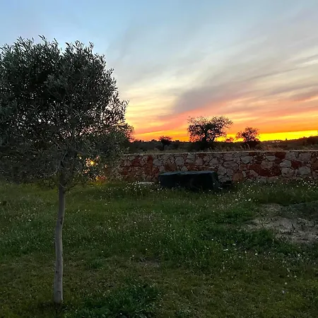 Charming With Pool Close To Faro Portugal Villa Falfosa
