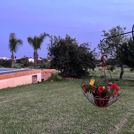 Charming With Pool Close To Faro Portugal Falfosa